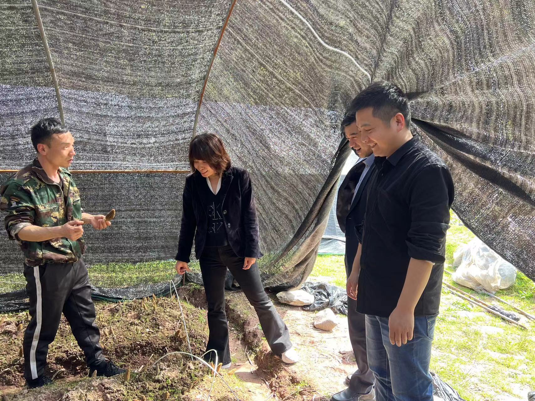 ng电子游戏·(中国集团)官方网站