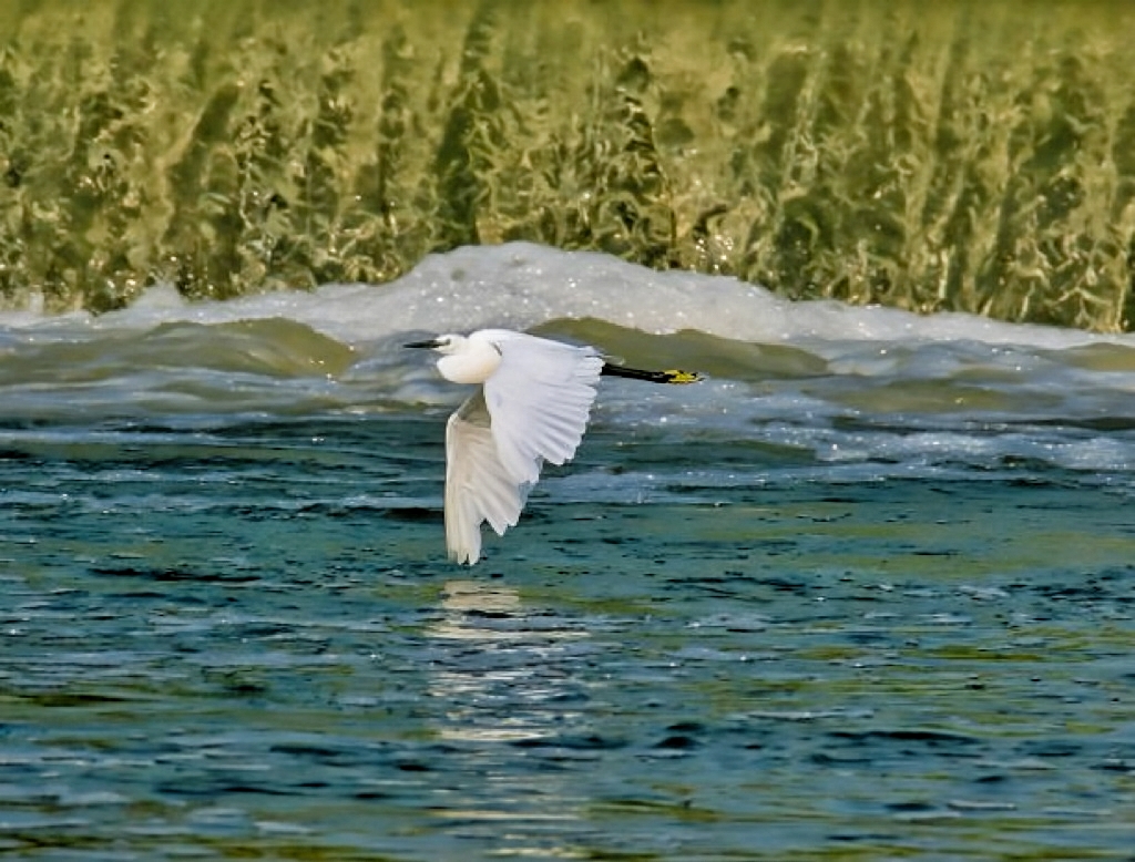 ng电子游戏·(中国集团)官方网站