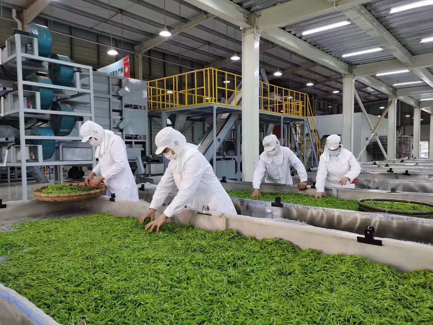 ng电子游戏·(中国集团)官方网站