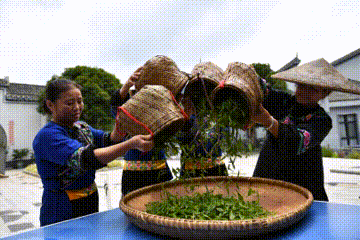 ng电子游戏·(中国集团)官方网站