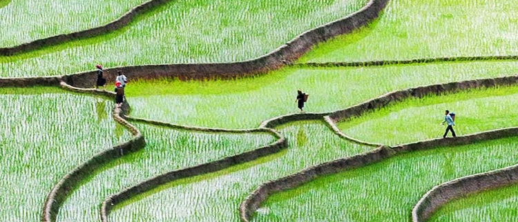 ng电子游戏·(中国集团)官方网站