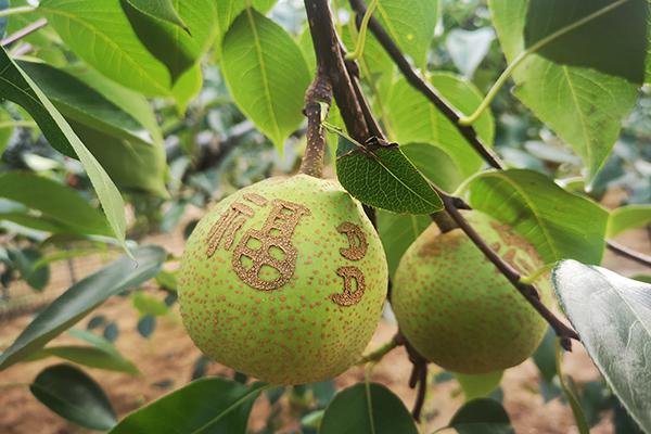 ng电子游戏·(中国集团)官方网站